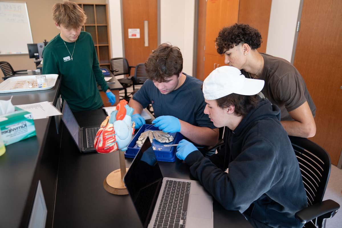 学生们在积木模型生物课上解剖心脏